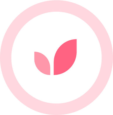 Online consultation icon